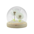 Double Dandelion Night Light: Glass Dome Lamp for Shelf or Bedside