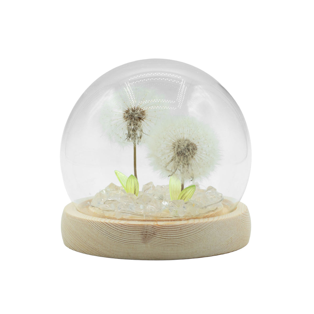 Double Dandelion Night Light: Glass Dome Lamp for Shelf or Bedside