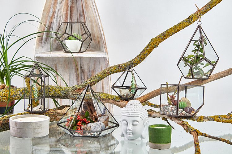 Cube on Corner Glass Terrarium with Brass Frame | Geometric Plant & Trinket Display
