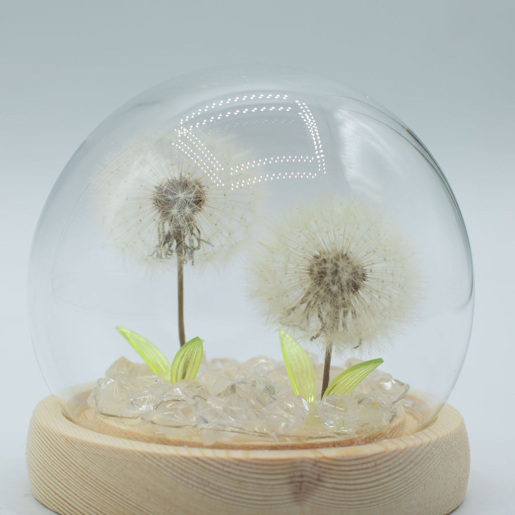Double Dandelion Night Light: Glass Dome Lamp for Shelf or Bedside