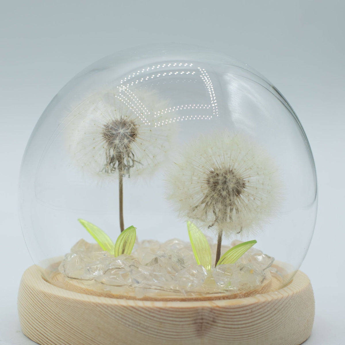 Double Dandelion Night Light: Glass Dome Lamp for Shelf or Bedside