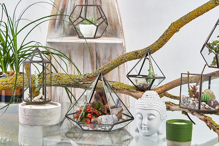 Geometric Glass Terrarium with Brass Frame | Mini Plant & Trinket Display 14.5cm