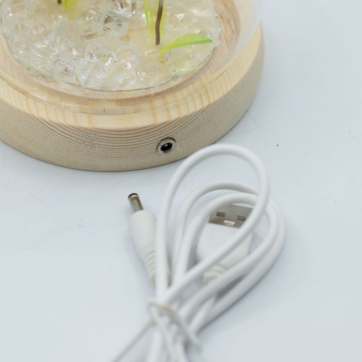 Double Dandelion Night Light: Glass Dome Lamp for Shelf or Bedside