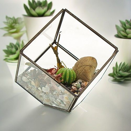 Cube on Corner Glass Terrarium with Brass Frame | Geometric Plant & Trinket Display