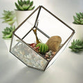 Cube on Corner Glass Terrarium with Brass Frame | Geometric Plant & Trinket Display
