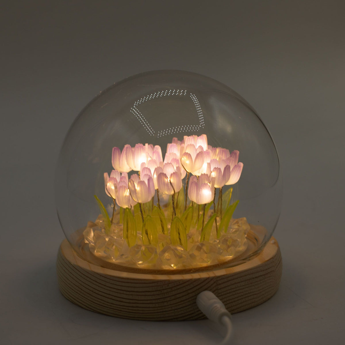 Floral Glow Garden Dome, 20 Tulips | USB LED Decor Light