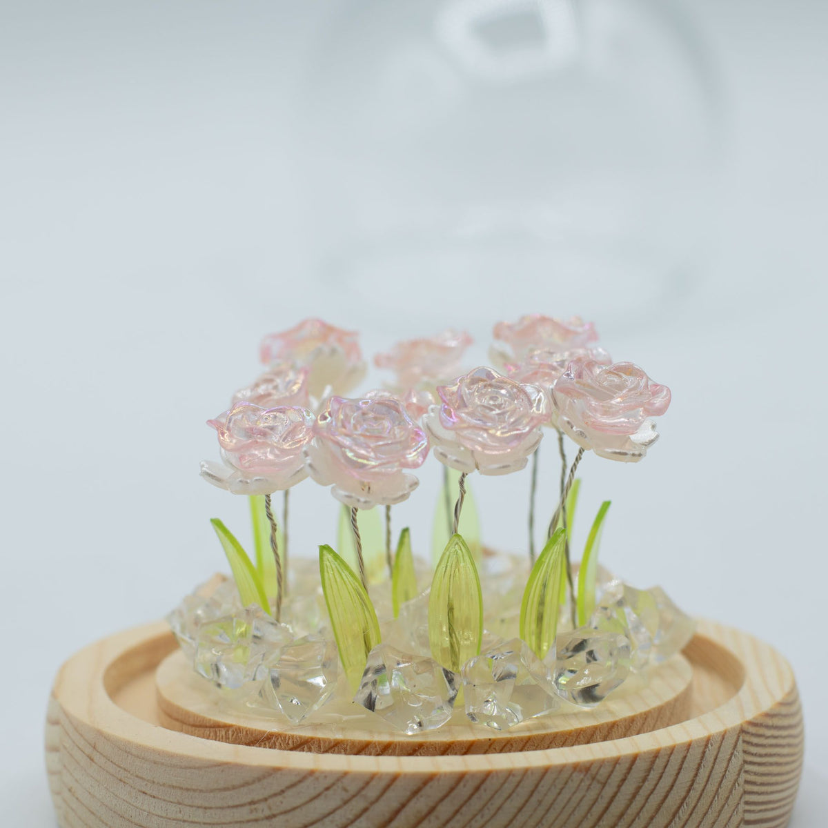 Floral Glow Garden Dome, 10 Pink Roses | USB LED Rose Lamp