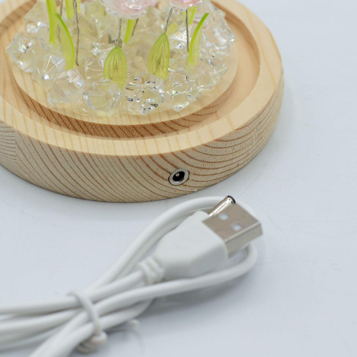 Floral Glow Garden Dome, 10 Pink Roses | USB LED Rose Lamp