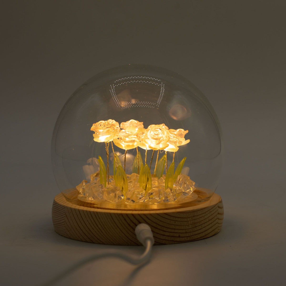 Floral Glow Garden Dome, 10 Pink Roses | USB LED Rose Lamp