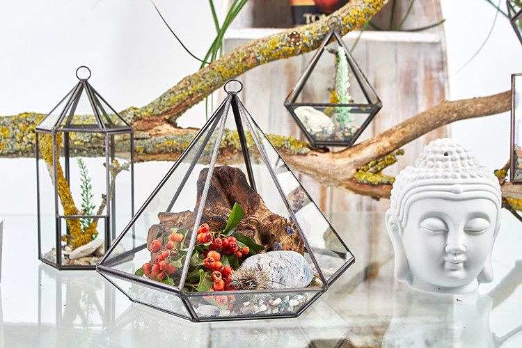 Tall Slim Geometric Glass Terrarium with Brass Frame | Lantern Shape