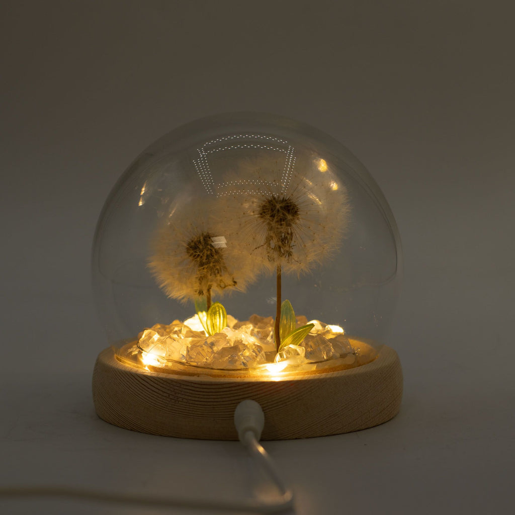 Double Dandelion Night Light: Glass Dome Lamp for Shelf or Bedside