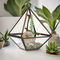 Geometric Glass Terrarium with Brass Frame | Mini Plant & Trinket Display 14.5cm