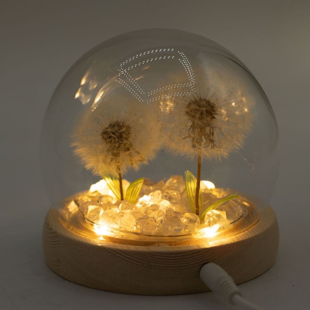 Double Dandelion Night Light: Glass Dome Lamp for Shelf or Bedside