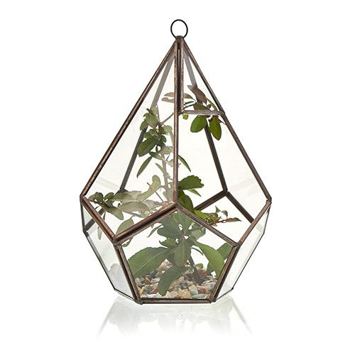 Large Geometric Glass Terrarium with Brass Frame | Plant & Trinket Display 20.5cm