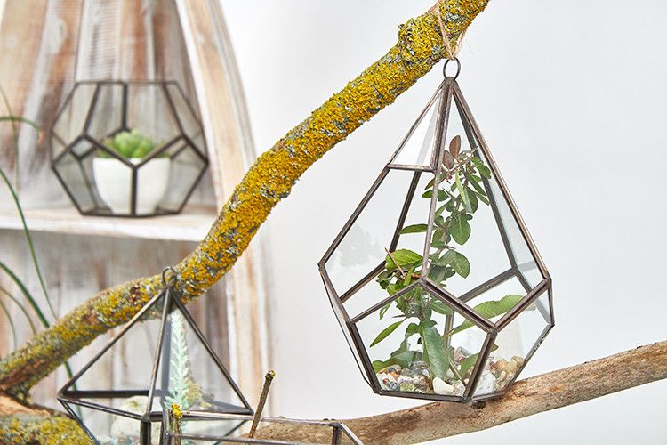 Large Geometric Glass Terrarium with Brass Frame | Plant & Trinket Display 20.5cm