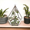 Large Geometric Glass Terrarium with Brass Frame | Plant & Trinket Display 20.5cm