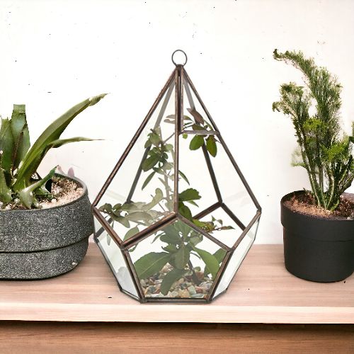 Large Geometric Glass Terrarium with Brass Frame | Plant & Trinket Display 20.5cm