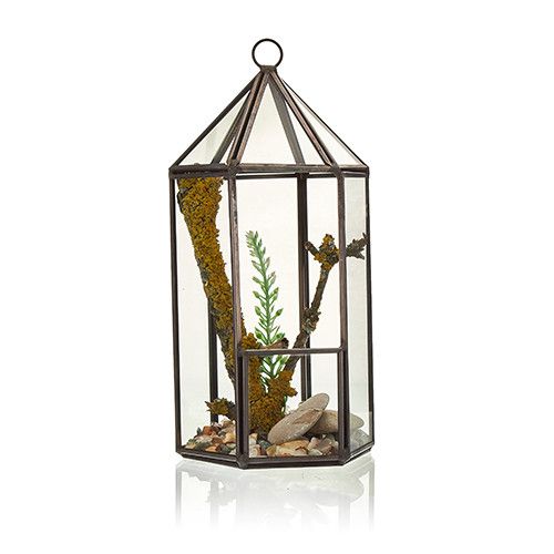 Tall Slim Geometric Glass Terrarium with Brass Frame | Lantern Shape