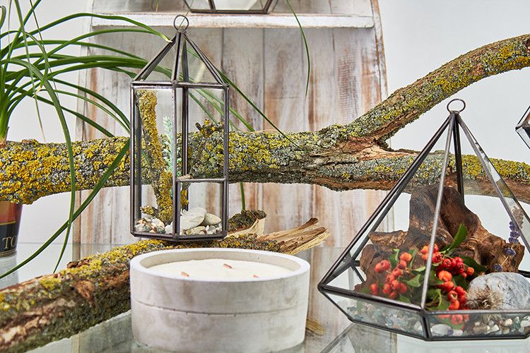 Wide Geometric Glass Terrarium with Brass Frame | Plant & Trinket Display 15cm