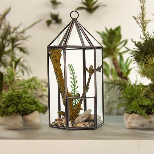 Tall Slim Geometric Glass Terrarium with Brass Frame | Lantern Shape