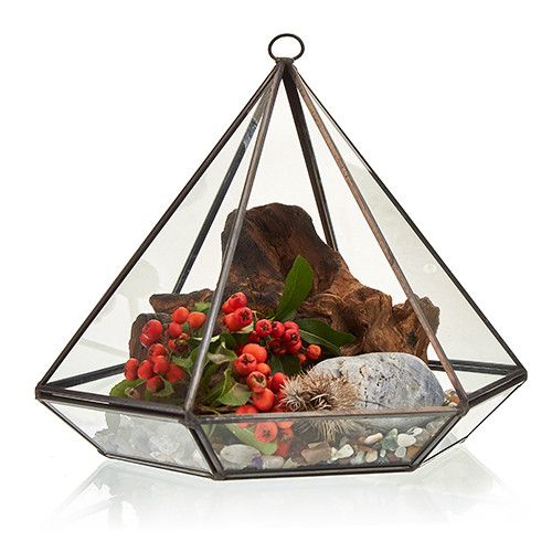 XL Geometric Glass Terrarium, Brass Frame | 22cm Wide