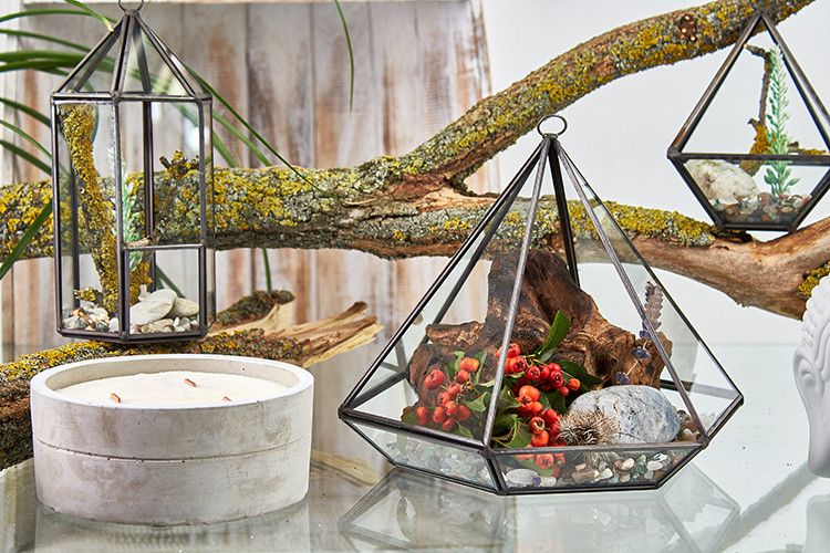 XL Geometric Glass Terrarium, Brass Frame | 22cm Wide