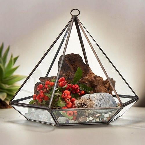 XL Geometric Glass Terrarium, Brass Frame | 22cm Wide