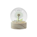 Floral Glow Garden Dome, 1 Dandelion | Battery LED Decor Light