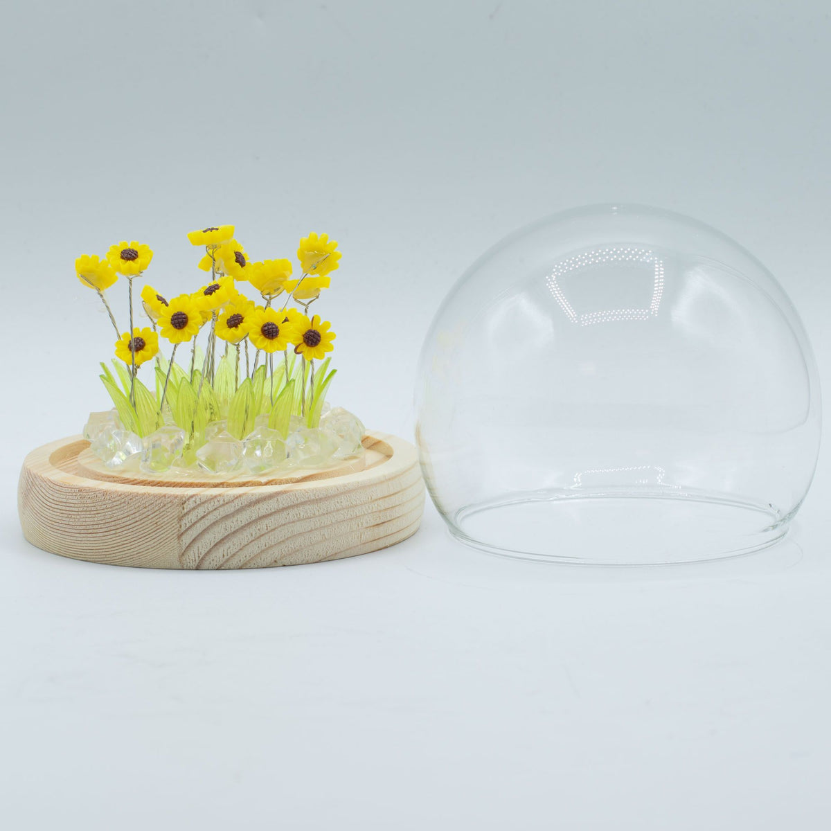 Floral Glow Garden Domes: Sunflowers, Roses & More