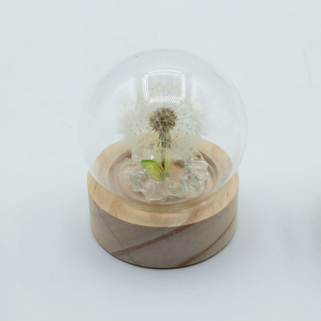 Floral Glow Garden Dome, 1 Dandelion | Battery LED Decor Light