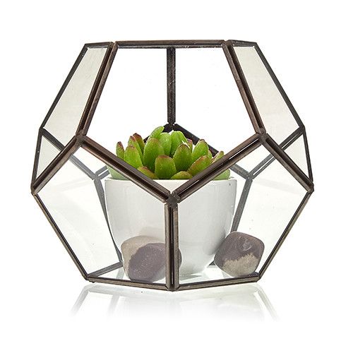 Wide Geometric Glass Terrarium with Brass Frame | Plant & Trinket Display 15cm