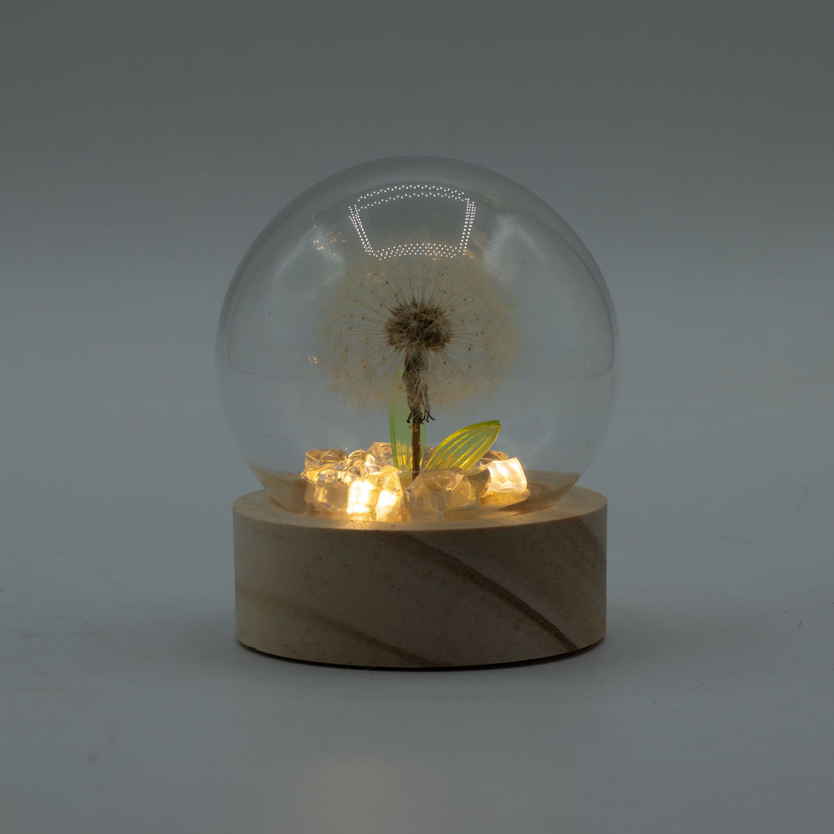 Floral Glow Garden Dome, 1 Dandelion | Battery LED Decor Light