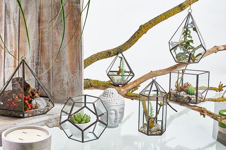 Cube on Corner Glass Terrarium with Brass Frame | Geometric Plant & Trinket Display