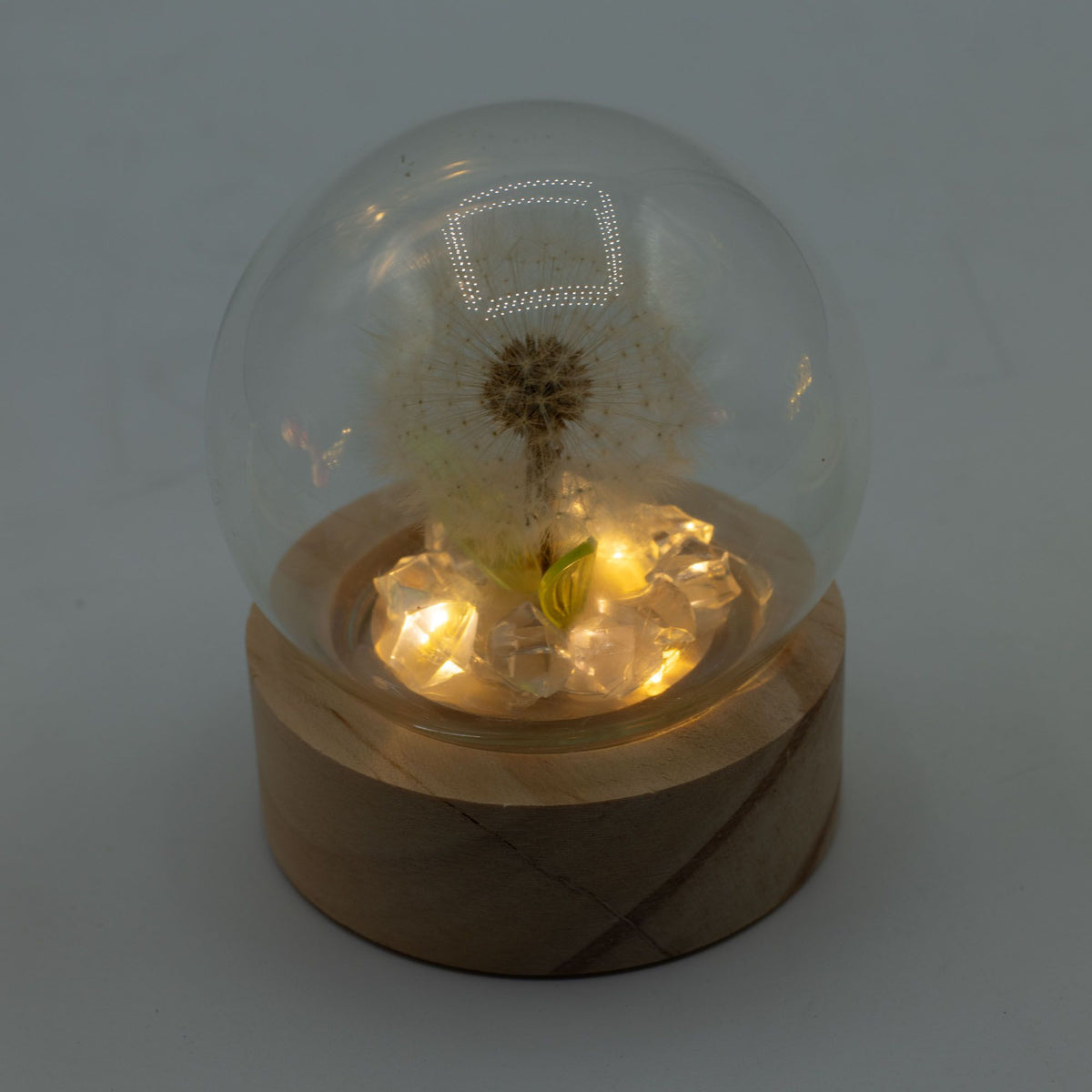 Floral Glow Garden Dome, 1 Dandelion | Battery LED Decor Light