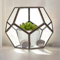 Wide Geometric Glass Terrarium with Brass Frame | Plant & Trinket Display 15cm