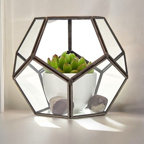 Wide Geometric Glass Terrarium with Brass Frame | Plant & Trinket Display 15cm