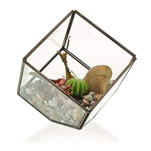 Cube on Corner Glass Terrarium with Brass Frame | Geometric Plant & Trinket Display